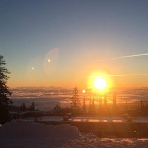 Meet your Posher, Vivianne